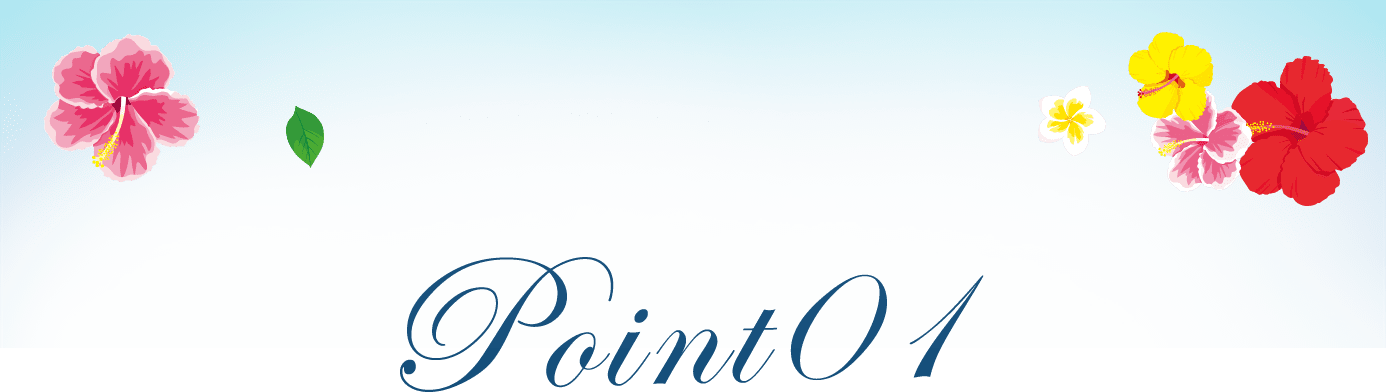 Point01